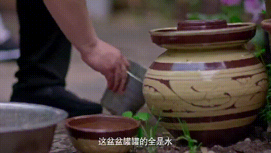 住高层就没蚊子了？蚊子：你猜我能飞多高？