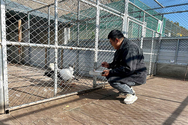 内蒙古阿荣旗：林海深处的“生命驿站”